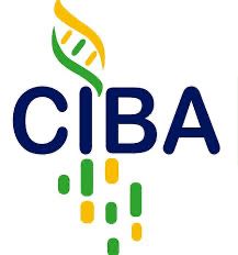 IPN-CIBA