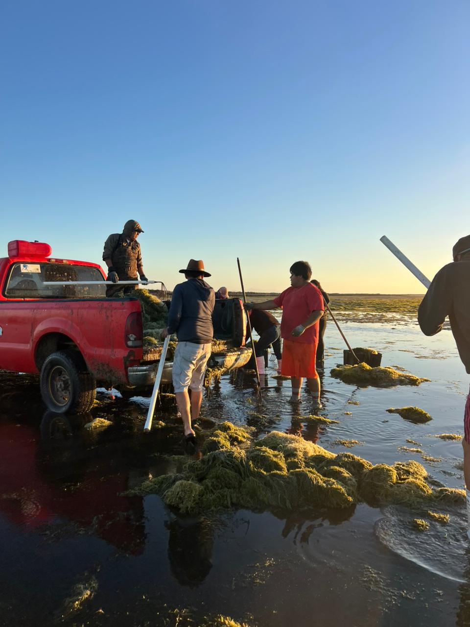 Trabajo de extracción en campo 4