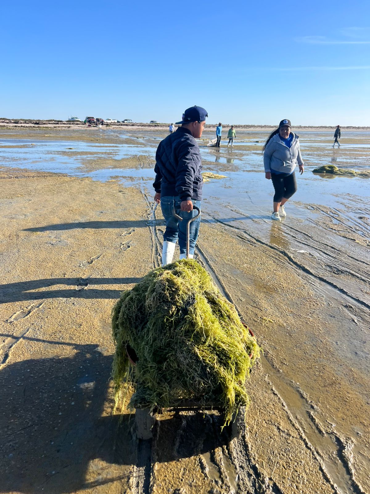 Traslado manual de biomasa